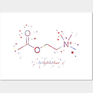 Acetylcholine molecule Posters and Art